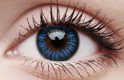 Big Eyes Cool Blue Big Eyes Cool Blue